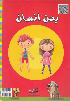 بدن انسان